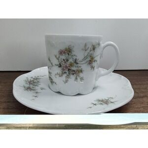 Rosenthal Porcelain China Classic Rose Catherine Demitasse Cup And Saucer Set